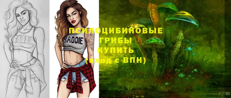 MEGA tor  Камызяк  Галлюциногенные грибы Psilocybe  продажа наркотиков 